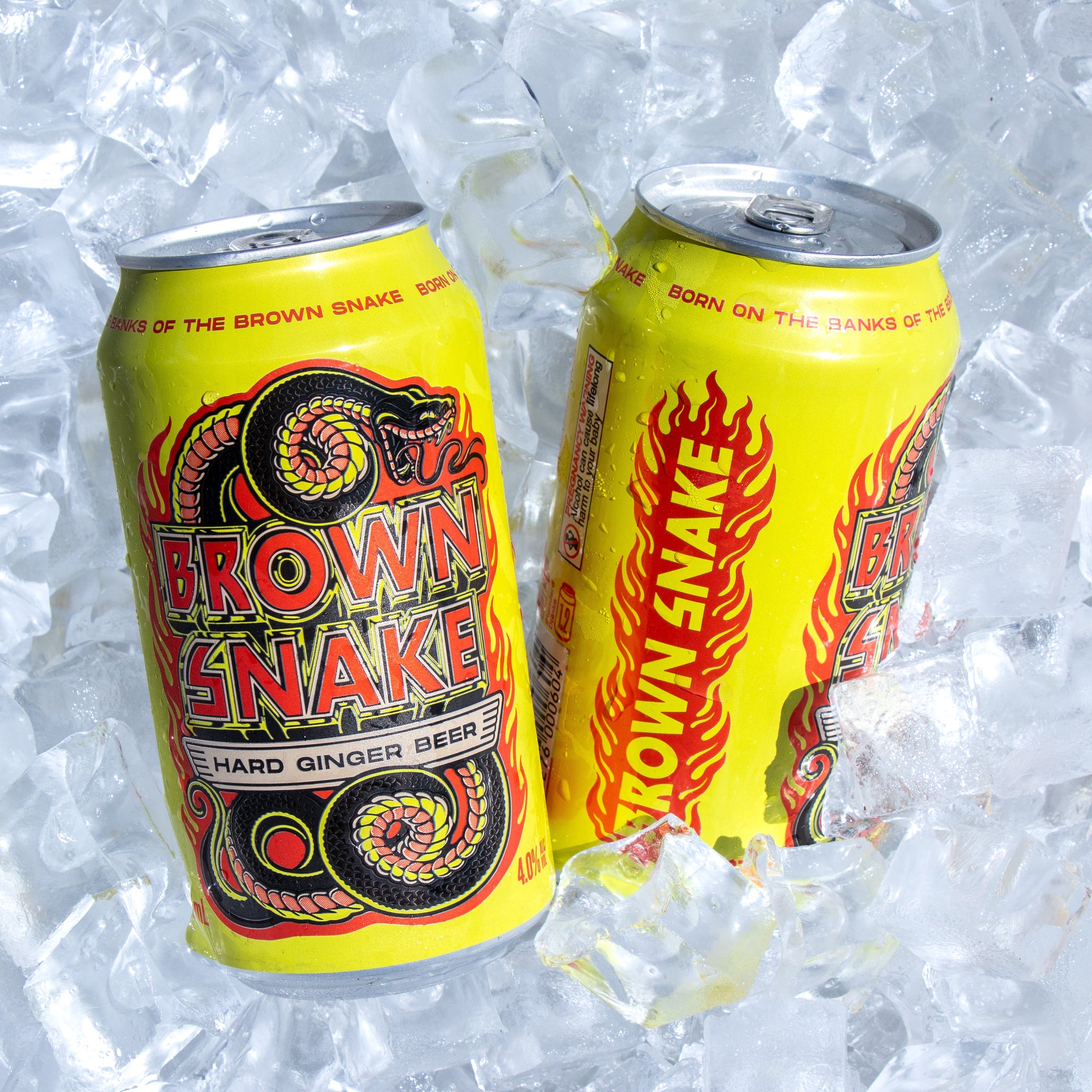 Brown Snake Ginger Beer