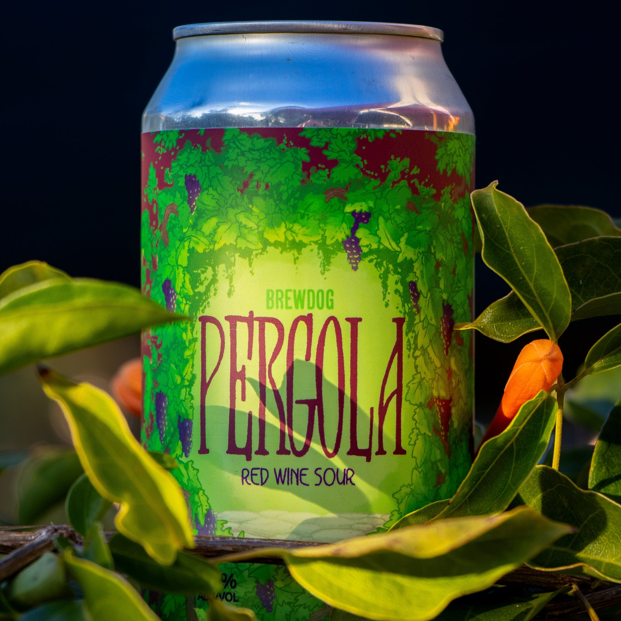 Pergola